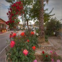 IMG_7886_7_8